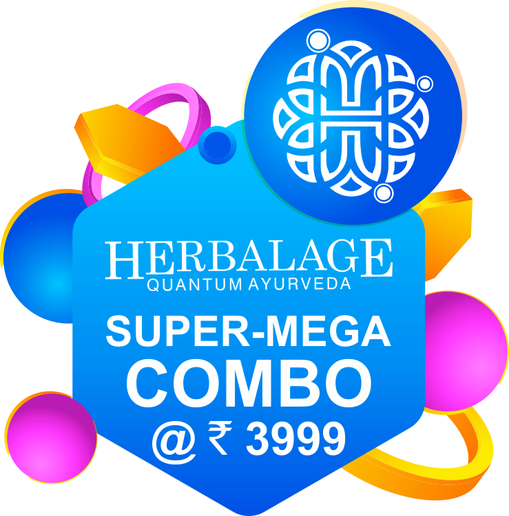 Super Mega Combo @3999