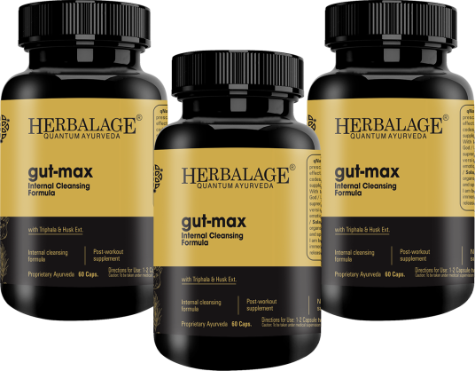 COMBO-PRO-Wellness GutMax (2+1)