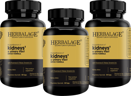 New Combo_Punarnava X3 (Kidney & Urinary Tract Formula)